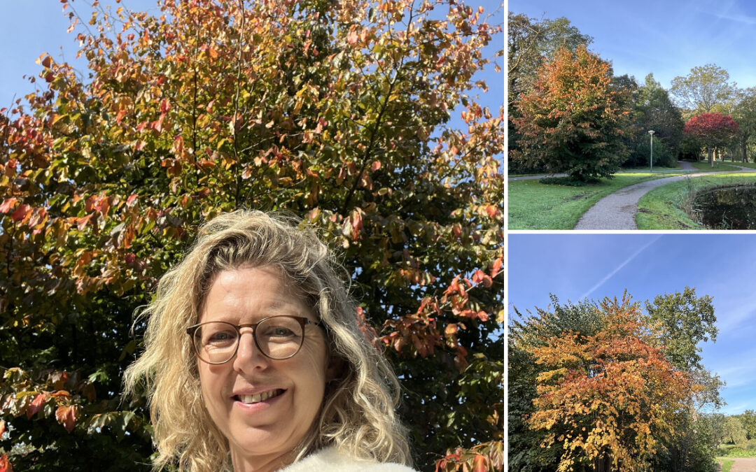 🍁 Laat jij al jouw kleuren zien op je werk? 🍁