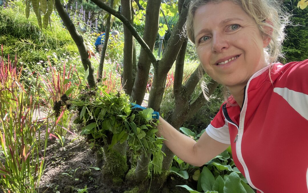 Word ik echt blij van onkruid wieden?