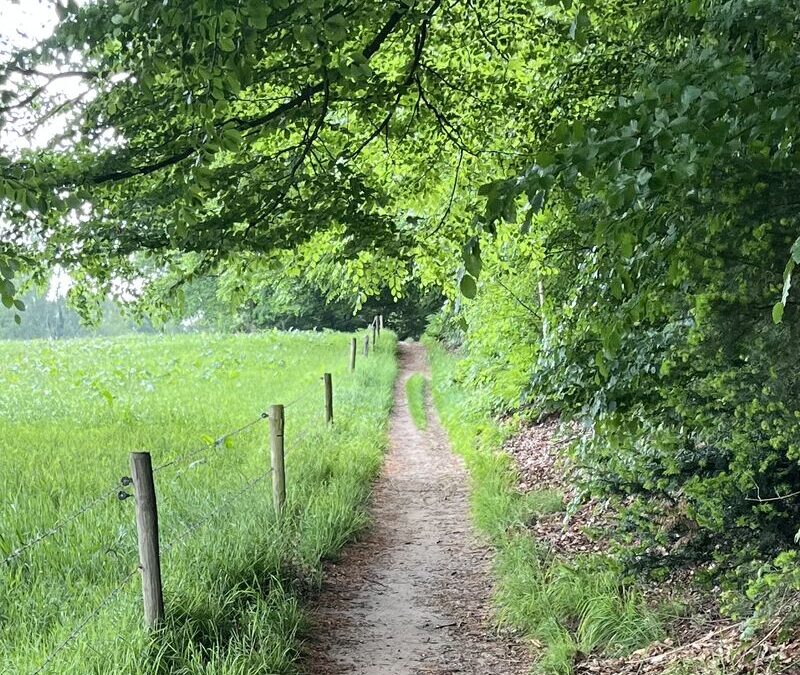 Ik ben jaloers op mensen die al jong weten wat ze willen.